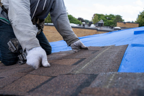 Best Rubber Roofing (EPDM, TPO)  in St Elmo, IL